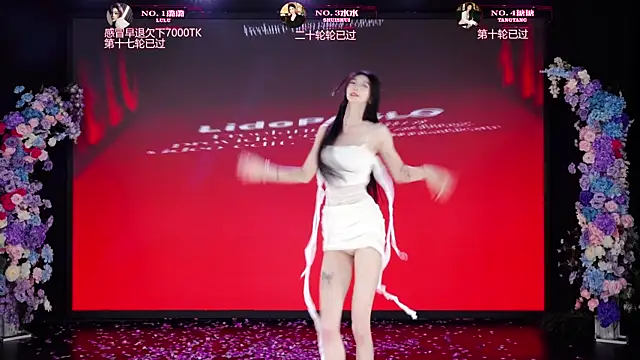 Show webcam de SK-001