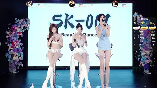 SK-001 Show in webcam
