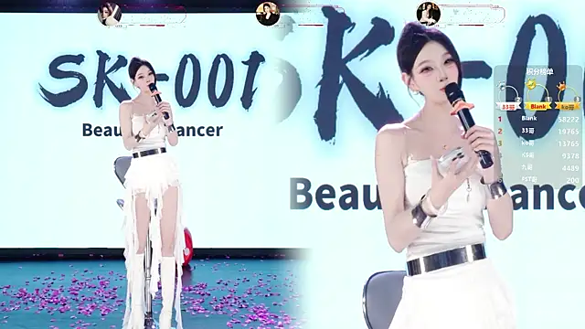 SK-001 Show in webcam
