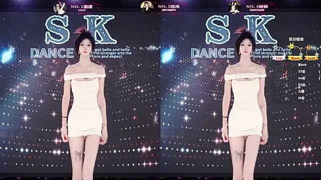 SK-001 Show in webcam