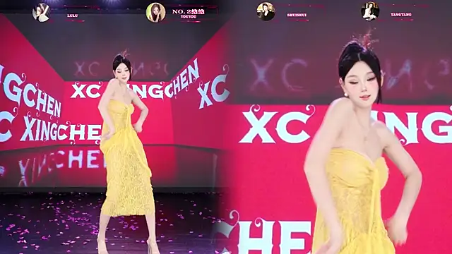 SK-001 网络视讯表演