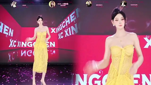 SK-001 Webcam-Show