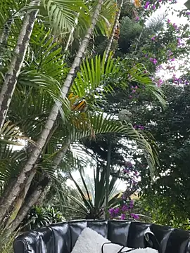 AliceMrtnz 웹캠 쇼