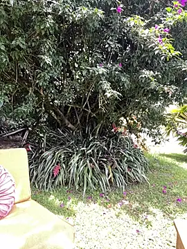 AliceMrtnz's Webcam Show