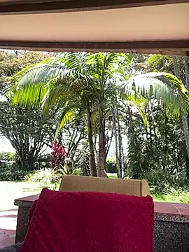 Pokazy przed kamerką – AliceMrtnz