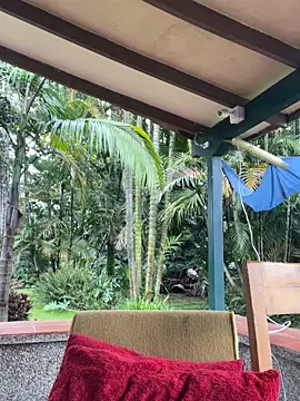 AliceMrtnz 网络视讯表演