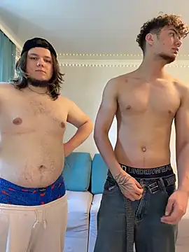 Show webcam de desiredude9