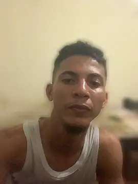 AE_03n Webbikameraesitys