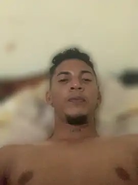 AE_03n Webbikameraesitys