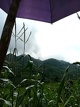 Phòng Chat Trực Tiếp Ngocmi909