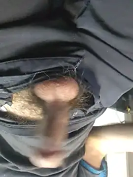 Show de ZoZiDo na webcam