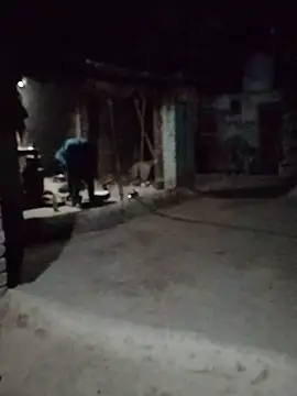 Miss_Sahibaの  ウェブカメラショー