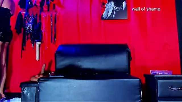 ArtemisaStone's Webcam Show