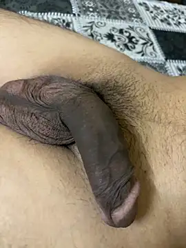 Show de webcam de indianshycouple