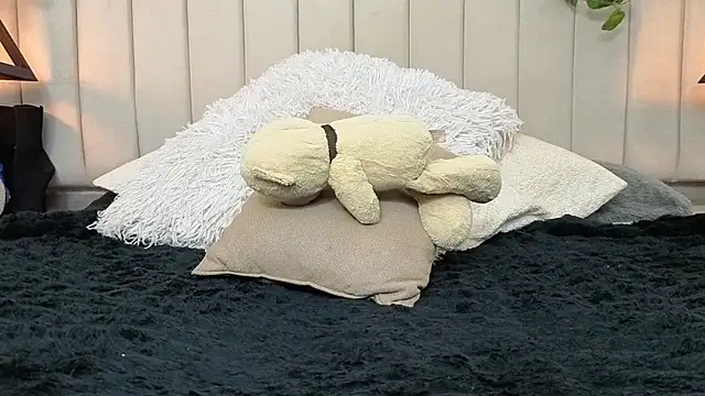 Show webcam de CandyGomez