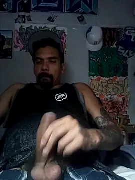 Show webcam de Dunkas69