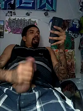 Show webcam de Dunkas69