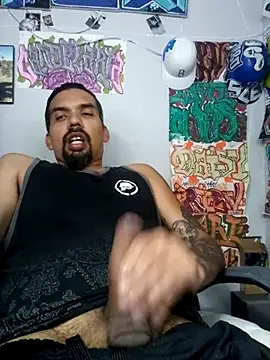 Show webcam de Dunkas69