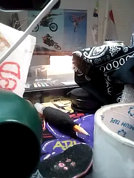 Dunkas69 Pertunjukan Webcam