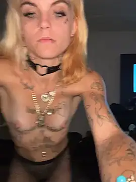 IttyBittyStonie Show Webcam