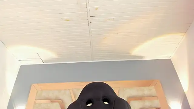 BellaBoobs_ – live chatrum