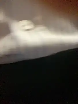 speddy34 Show in webcam