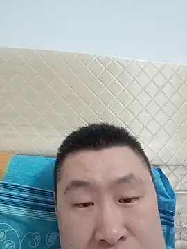 tpl131452 网络视讯表演