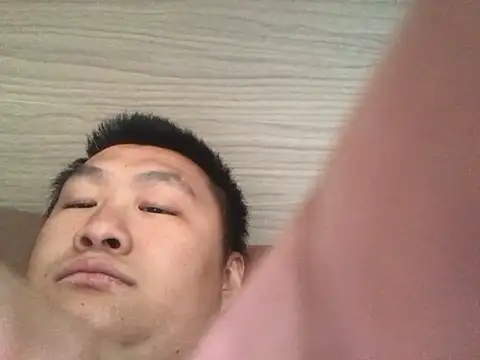 tpl131452 Show Webcam