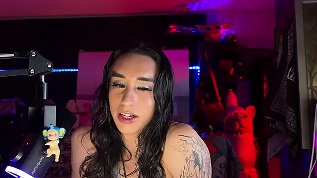 xoFrankien Webbikameraesitys
