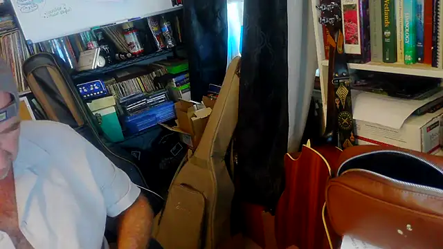 southernflair Webcam Show