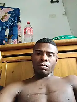 Show webcam de InsituFull