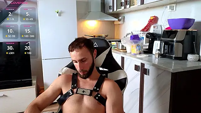 Show webcam de RyanStorm_