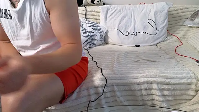 RyanStorm_n Webbikameraesitys