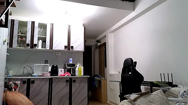 RyanStorm_ Webcam show