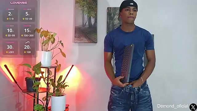 DEMOND_333 Show Webcam