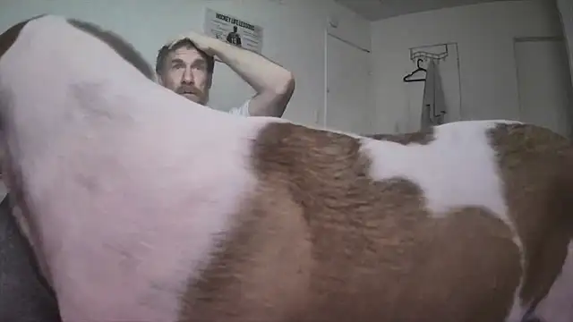 Show webcam de Tiggitytomociti