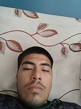 Luisfenason Webbikameraesitys