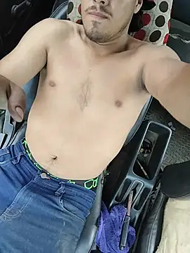 Luisfenason Webbikameraesitys