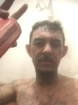 Show de Horokoshi na webcam