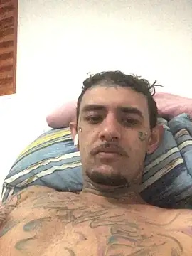 Show de Horokoshi na webcam