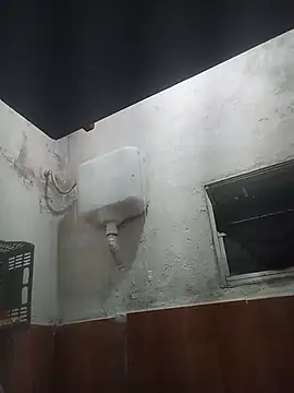 Horokoshi Show Webcam