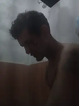Show de Horokoshi na webcam