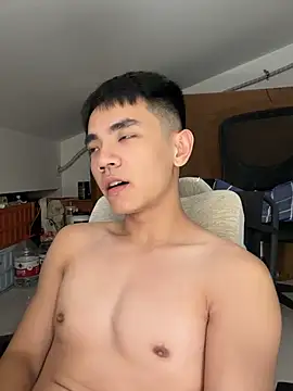 XTTX49n Webbikameraesitys