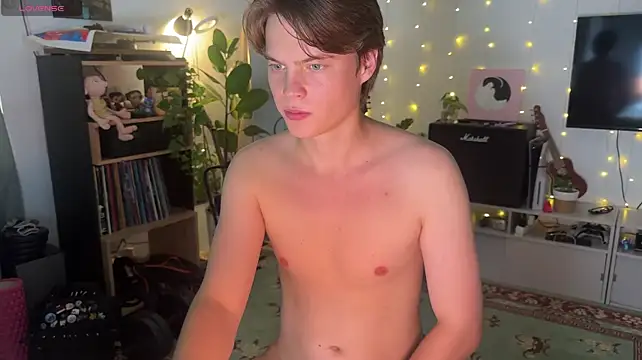 RusBradPittn Webbikameraesitys