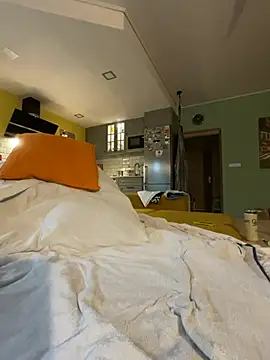smint06 Webcam-Show