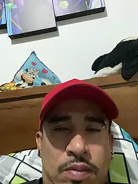 Pintavergonn Webbikameraesitys
