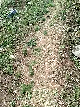 Show de webcam de _ad_josep