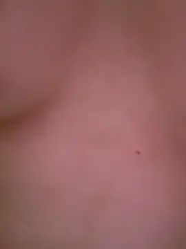 Cumonmmen Webbikameraesitys