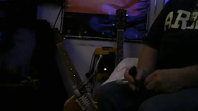 Show webcam de crassanova