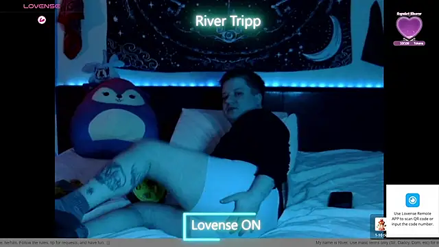 Show Webcam de RiverTripp